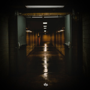 免费AV网站在线观看
