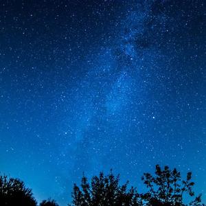 免费AV网站在线观看
