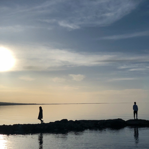 免费AV网站在线观看
