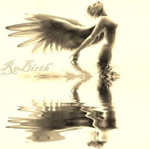 免费AV网站在线观看
