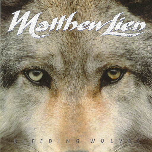 免费AV网站在线观看
